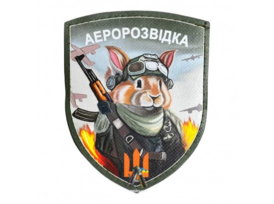 Шеврон Аеророзведка