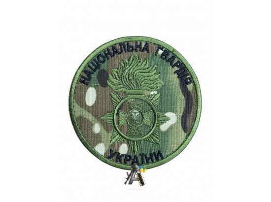 Шеврон НГУ мультикам